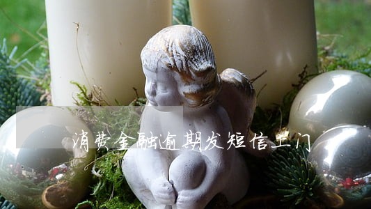 消费金融逾期发短信上门 消费金融逾期发短信上门