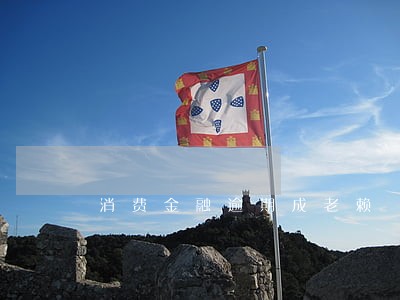 消费金融逾期成老赖 消费金融逾期成老赖