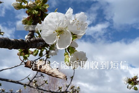 消费金融逾期收到短信 消费金融逾期收到短信