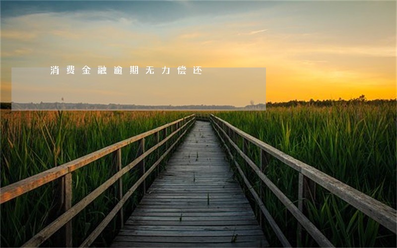 消费金融逾期无力偿还 消费金融逾期无力偿还