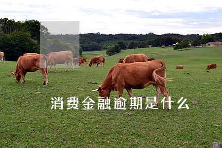 消费金融逾期是什么 消费金融逾期是什么