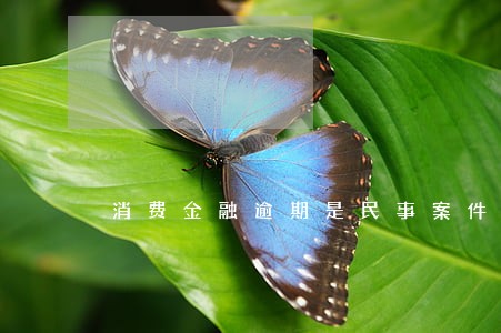 消费金融逾期是民事案件吗 消费金融逾期是民事案件吗