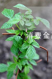 消费金融逾期有上门吗 消费金融逾期有上门吗