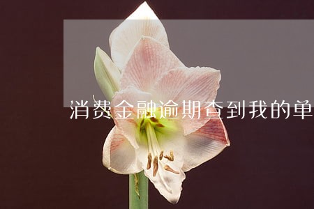 消费金融逾期查到我的单位
