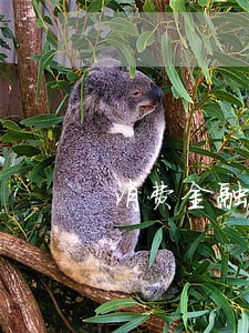 消费金融逾期案件审理结束 消费金融逾期案件审理结束