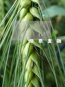 消费金融逾期率算法 消费金融逾期率算法