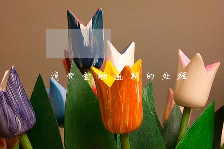 消费金融逾期的处理 消费金融逾期的处理