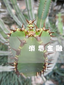 消费金融逾期短信会是真的吗 消费金融逾期短信会是真的吗
