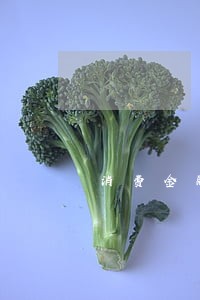 消费金融逾期短信警告 消费金融逾期短信警告