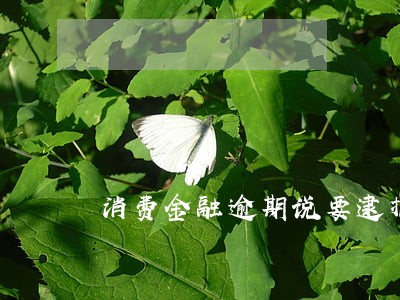 消费金融逾期说要逮捕是真的吗 消费金融逾期说要逮捕是真的吗