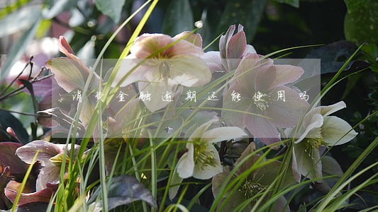 消费金融逾期还能使用吗 消费金融逾期还能使用吗