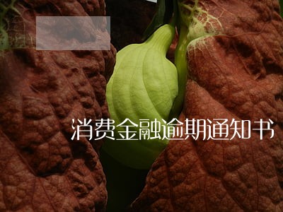消费金融逾期通知书 消费金融逾期通知书