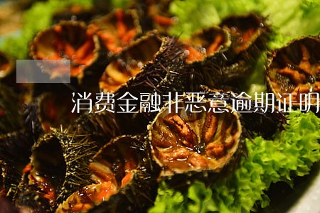 消费金融非恶意逾期证明 消费金融非恶意逾期证明