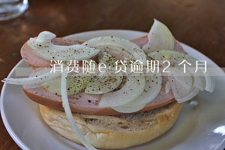 消费随e贷逾期2个月 消费随e贷逾期2个月
