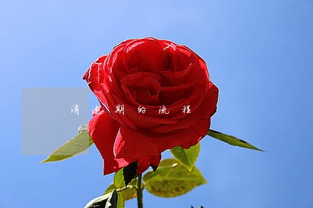 消逾期的流程 消逾期的流程