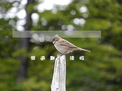 消逾期违法吗 消逾期违法吗