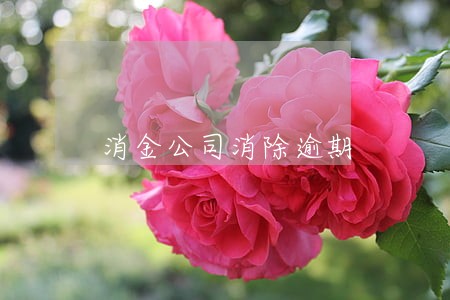 消金公司消除逾期 消金公司消除逾期