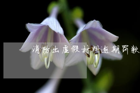 消防出虚假材料逾期罚款 消防出虚假材料逾期罚款