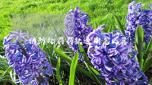 消防处罚罚款逾期怎么算