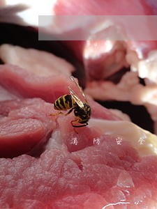消防安全检查法律条文
