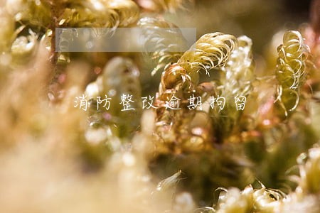 消防整改逾期拘留 消防整改逾期拘留