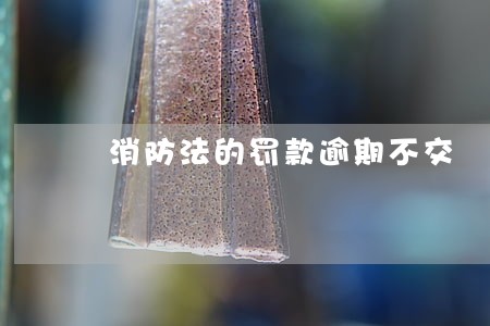 消防法的罚款逾期不交 消防法的罚款逾期不交