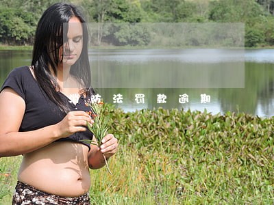 消防法罚款逾期