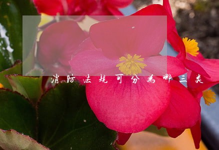 消防法规可分为哪三类