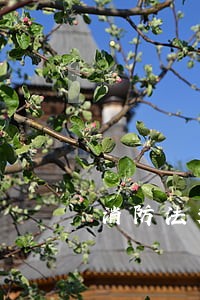 消防法规定商铺用几个灭火器 消防法规定商铺用几个灭火器