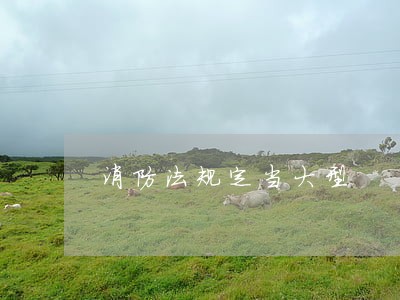 消防法规定当大型 消防法规定当大型