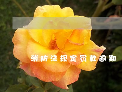 消防法规定罚款逾期