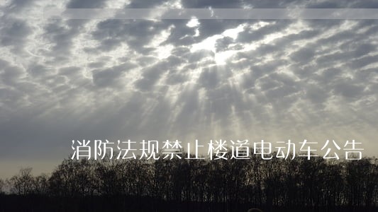 消防法规禁止楼道电动车公告 消防法规禁止楼道电动车公告