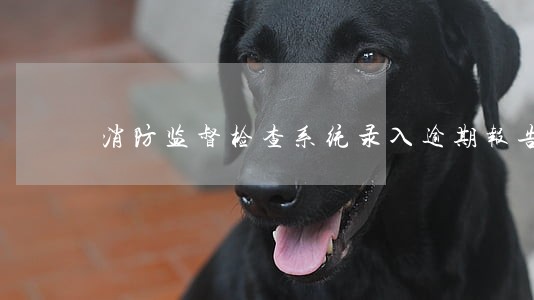 消防监督检查系统录入逾期报告 消防监督检查系统录入逾期报告
