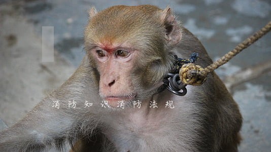 消防知识消防法规 消防知识消防法规