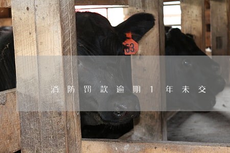 消防罚款逾期1年未交