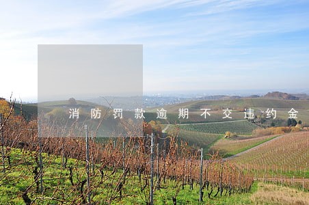 消防罚款逾期不交违约金是多少 消防罚款逾期不交违约金是多少