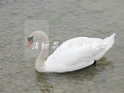 消防罚款逾期处罚 消防罚款逾期处罚