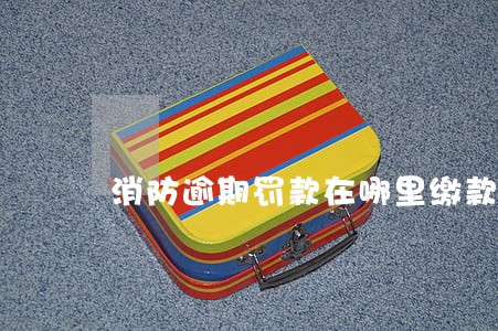 消防逾期罚款在哪里缴款 消防逾期罚款在哪里缴款