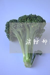 消防部队聘请法律顾问合同范文 消防部队聘请法律顾问合同范文