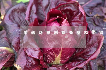 消防隐患逾期未整改的罚款多少 消防隐患逾期未整改的罚款多少