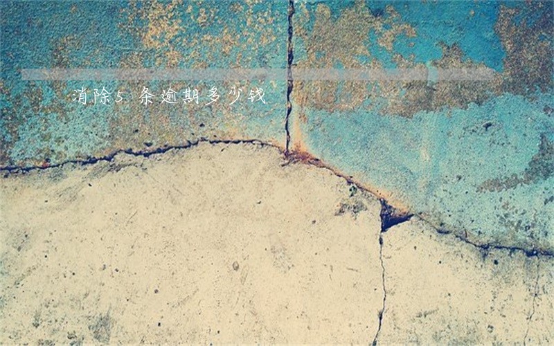 消除5条逾期多少钱 消除5条逾期多少钱