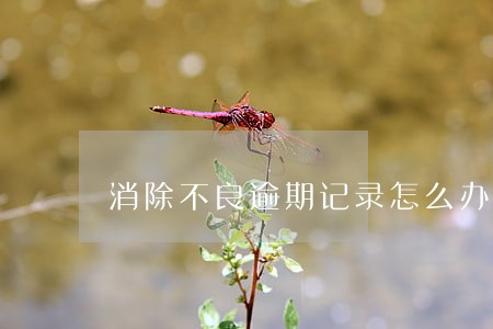 消除不良逾期记录怎么办 消除不良逾期记录怎么办