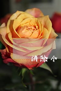 消除个人征信逾期记录是真的吗 消除个人征信逾期记录是真的吗