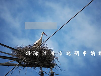 消除信用卡逾期申请模板 消除信用卡逾期申请模板