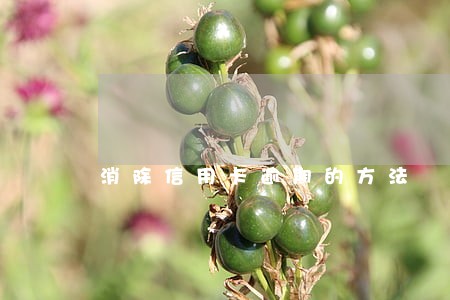 消除信用卡逾期的方法