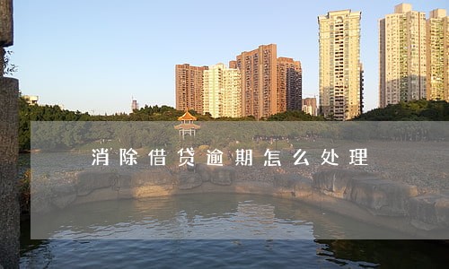 消除借贷逾期怎么处理 消除借贷逾期怎么处理