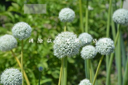 消除征信逾期可信吗 消除征信逾期可信吗