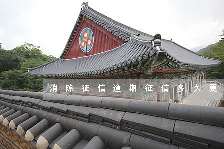 消除征信逾期征信多久更新 消除征信逾期征信多久更新