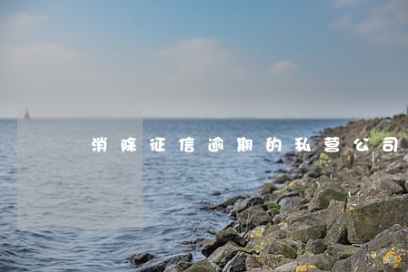 消除征信逾期的私营公司叫 消除征信逾期的私营公司叫