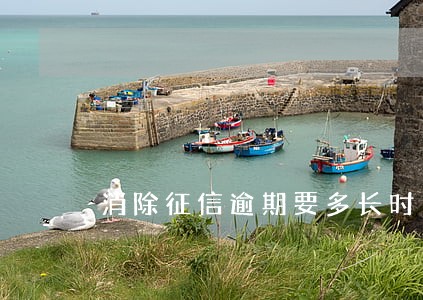 消除征信逾期要多长时间 消除征信逾期要多长时间